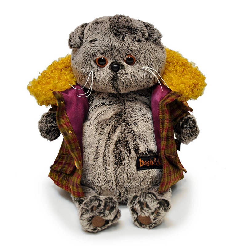 Кот Басик
