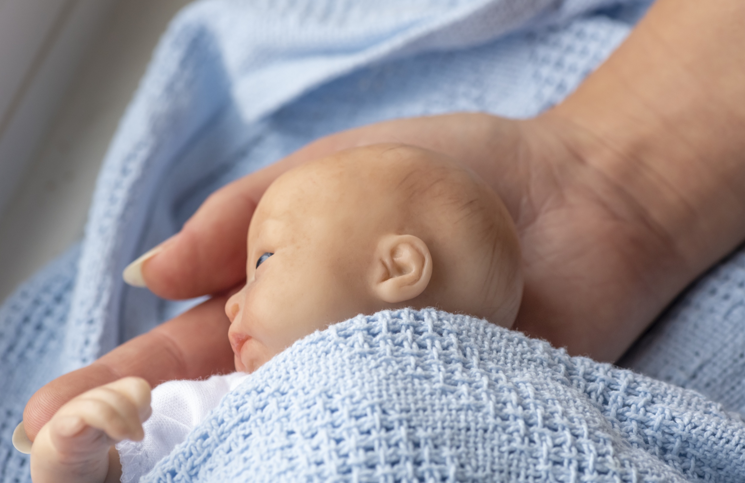 cropped-hand-woman-holding-doll.jpg