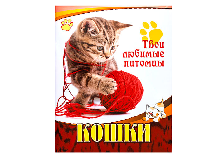 Книга «Кошки», серия «Твои любимые питомцы»