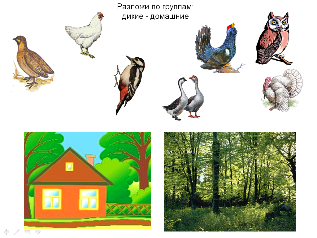 image017.png