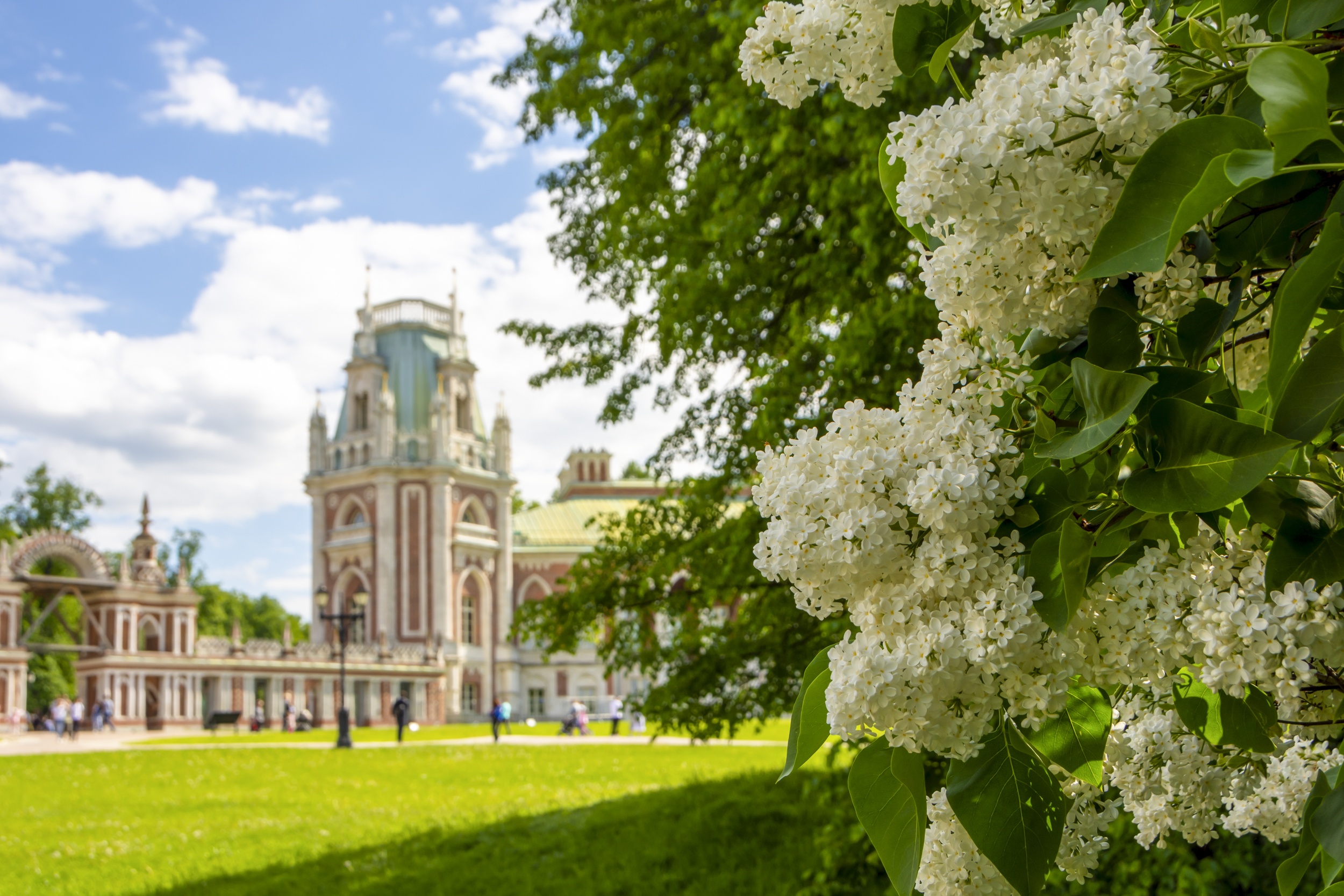 8 white-lilac-against-backdrop-grand-palace-tsaritsyno-park-moscow-russia.jpg