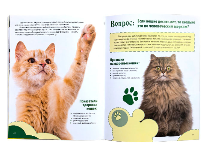 Книга «Кошки», серия «Твои любимые питомцы»