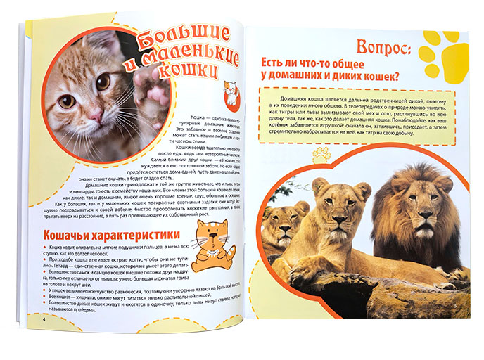 Книга «Кошки», серия «Твои любимые питомцы»